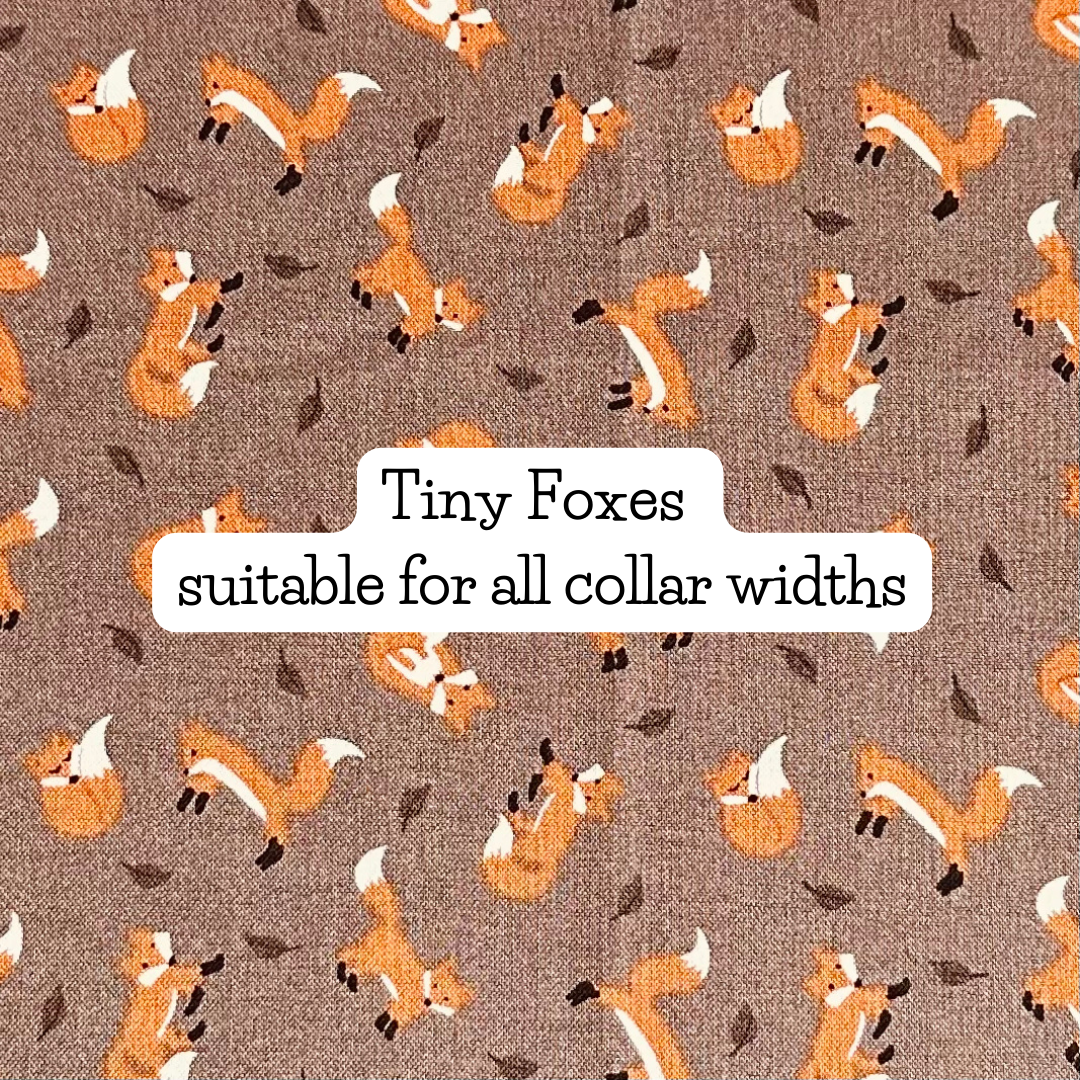 Tiny Foxes