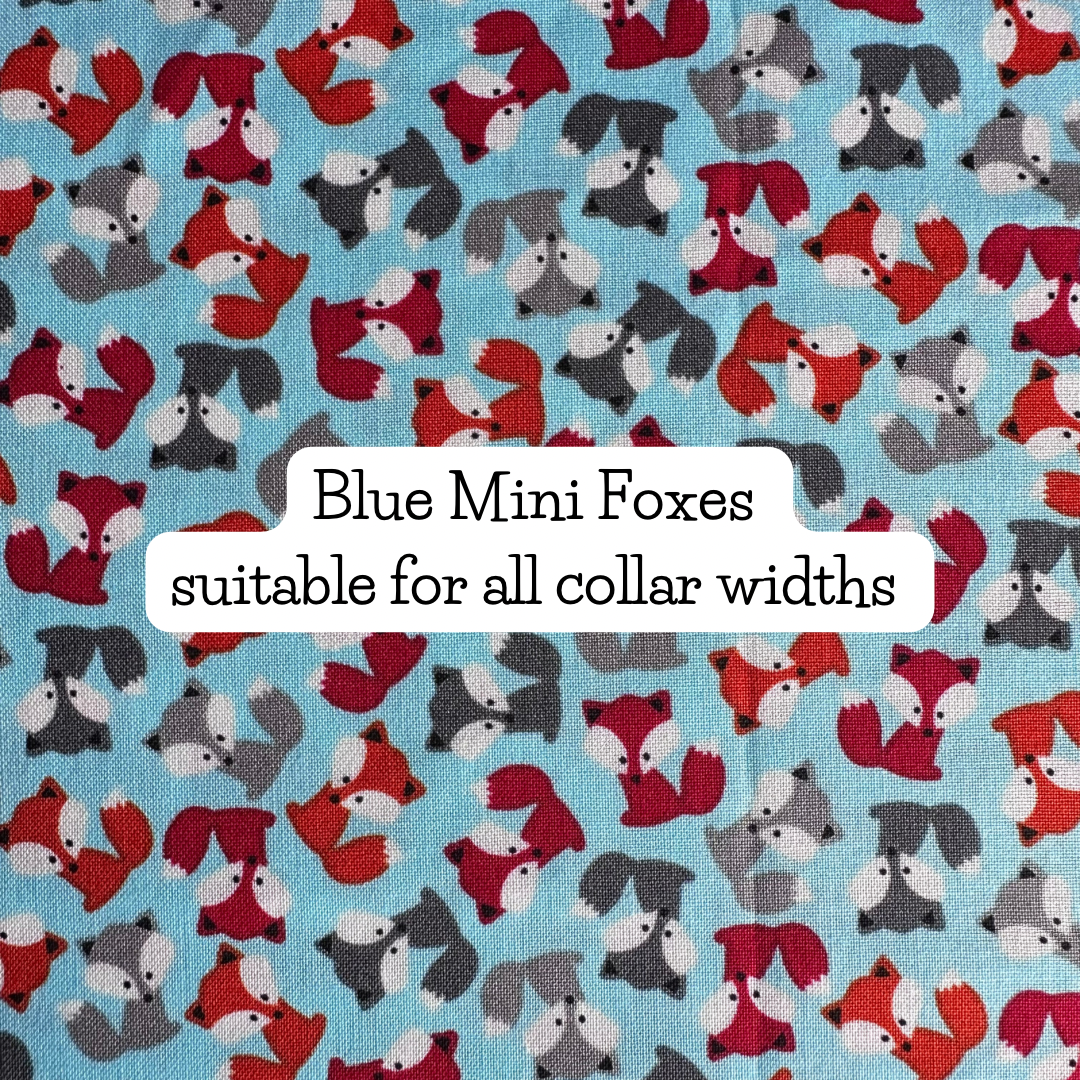 Blue Mini Foxes