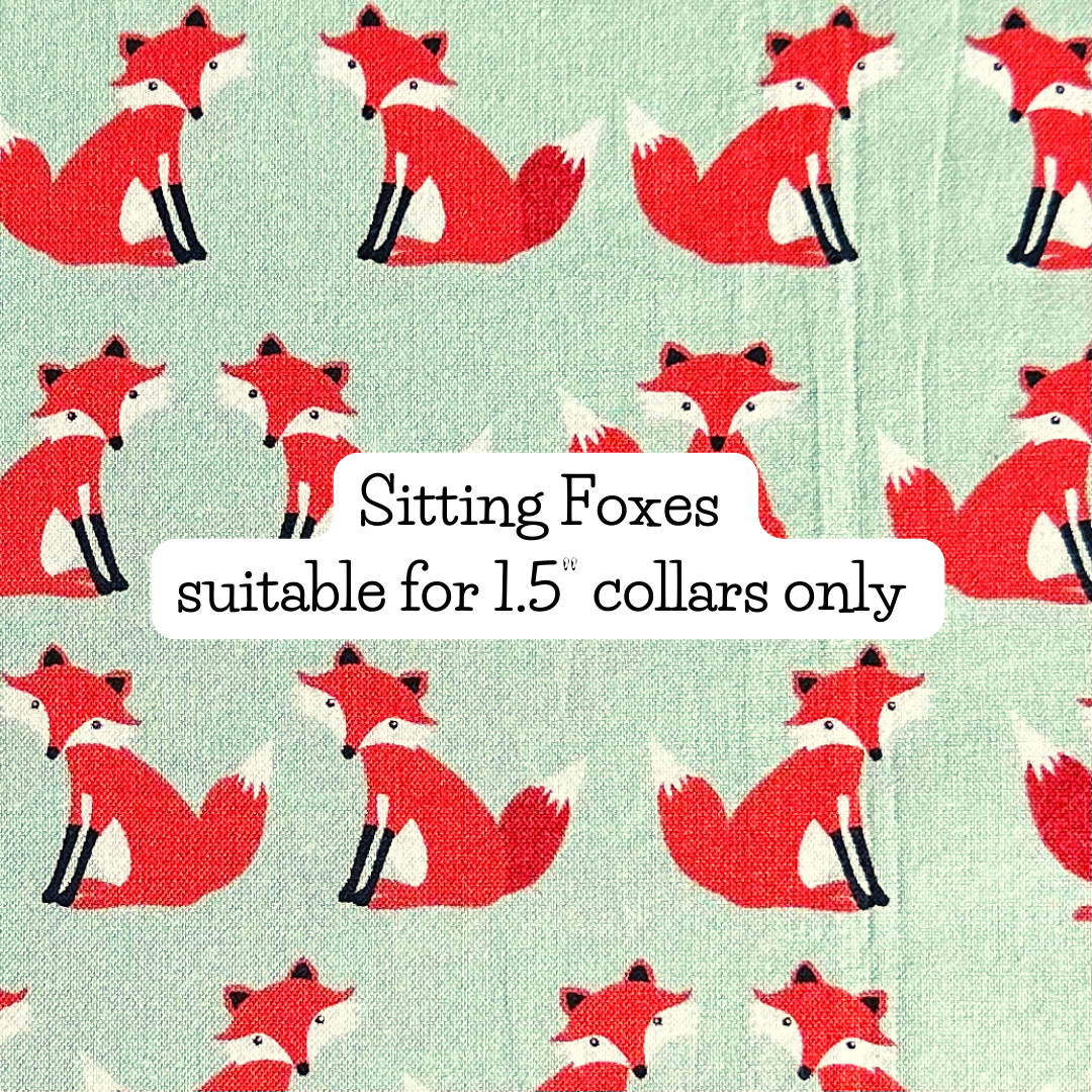 Sitting Foxes