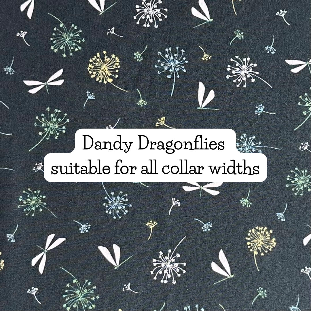 Dandy Dragonflies