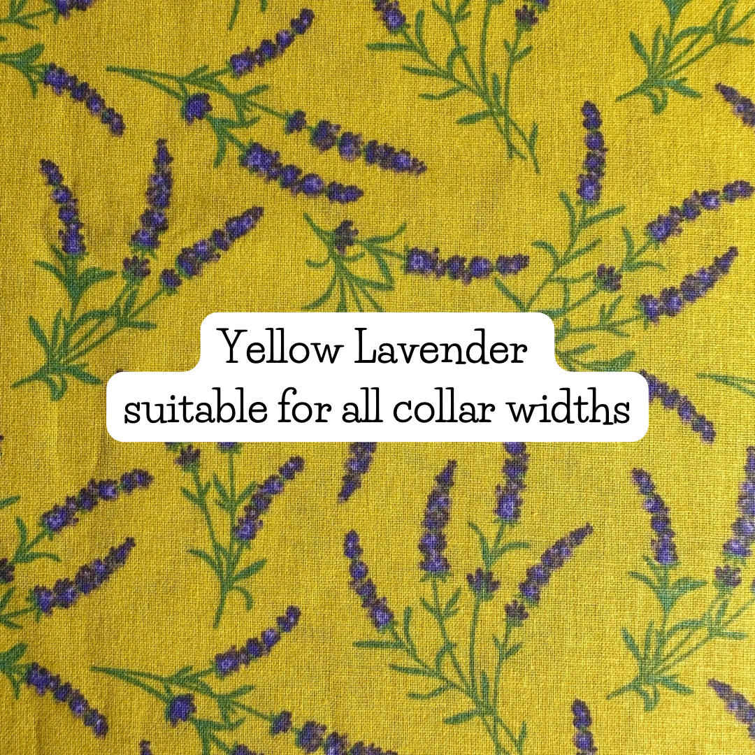 Yellow Lavender