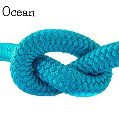 Ocean
