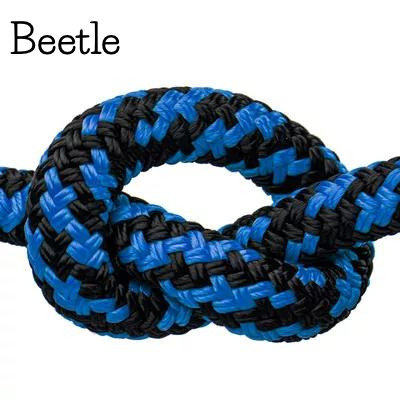 Beetle