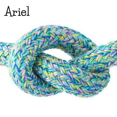 Ariel