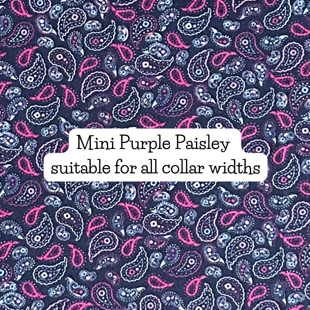 Mini Purple Paisley