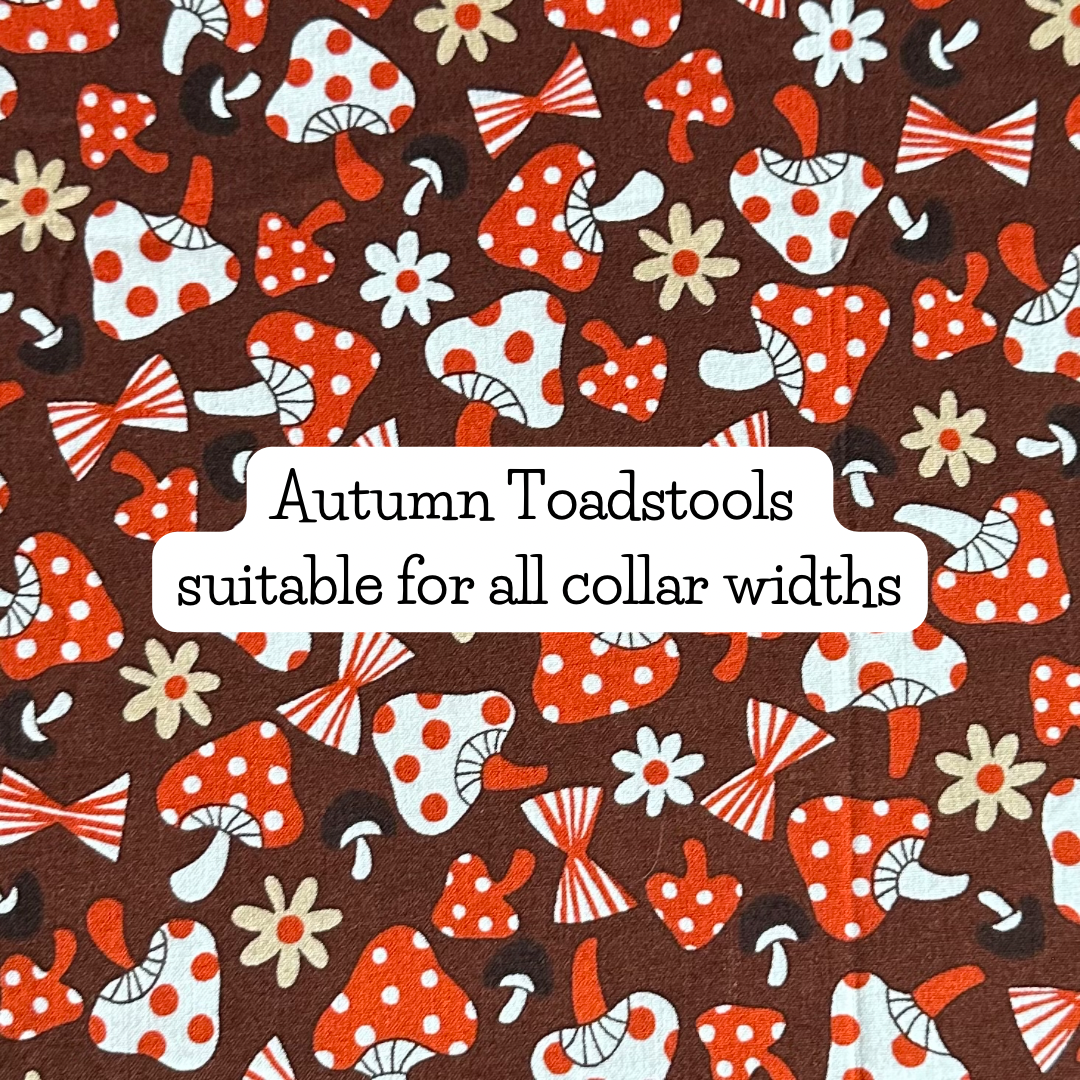 Autumn Toadstools