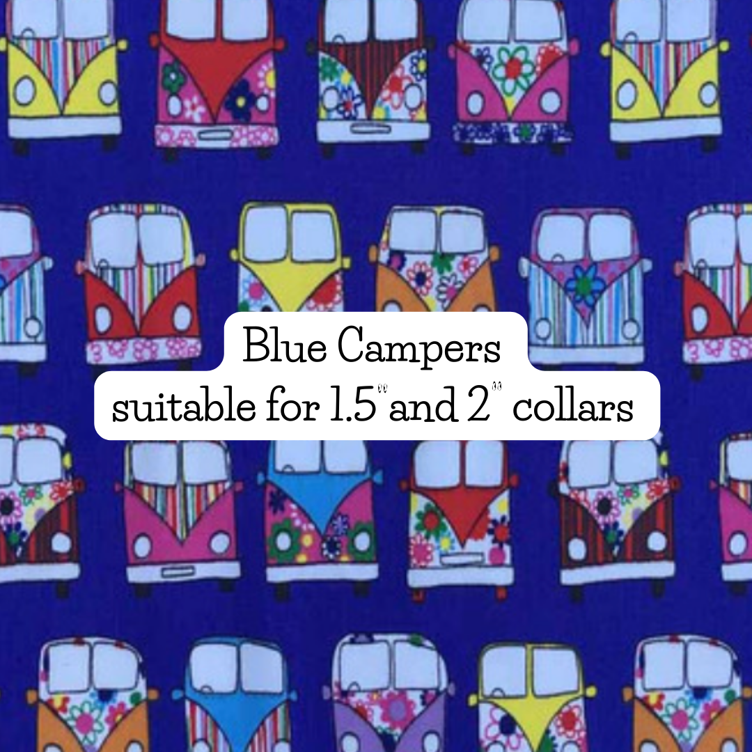 Blue Campers