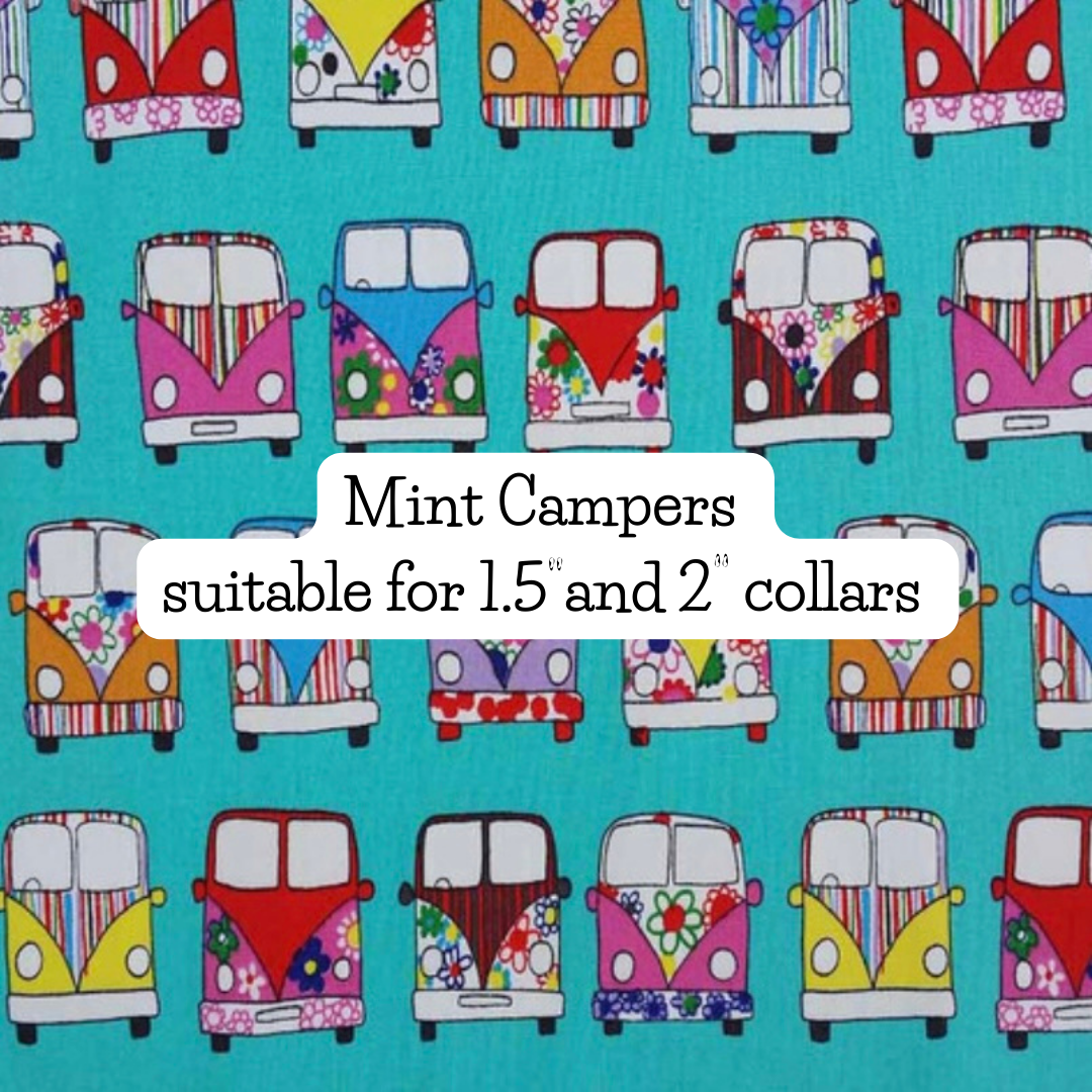 Mint Campers