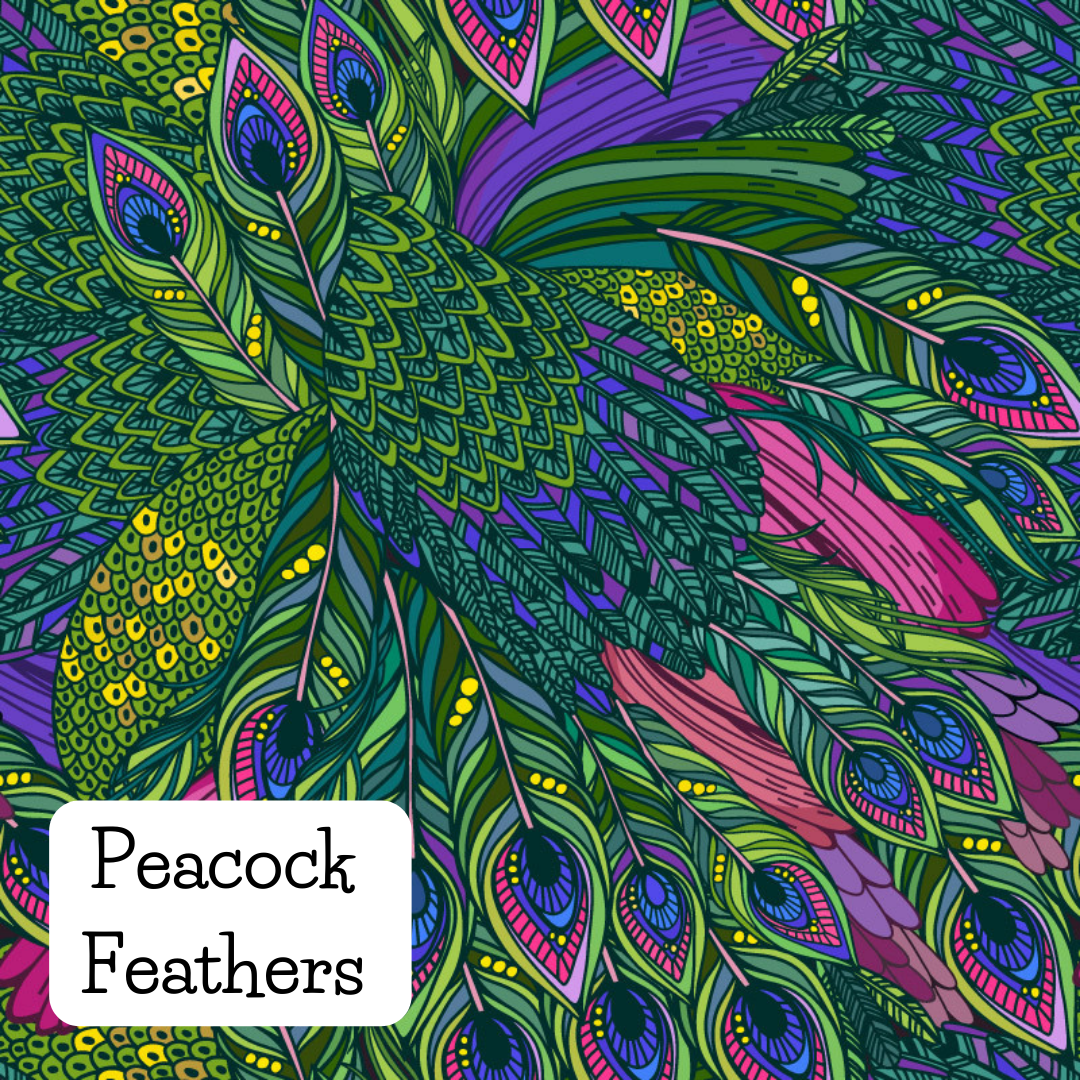 Peacock Feathers 