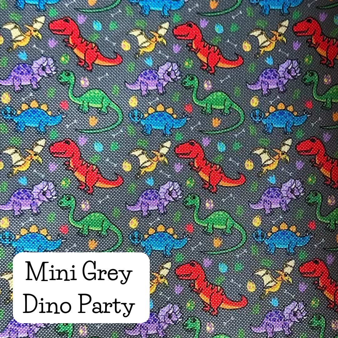 Mini Grey Dino Party