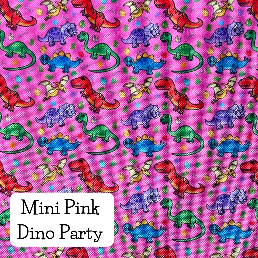 Mini Pink Dino Party