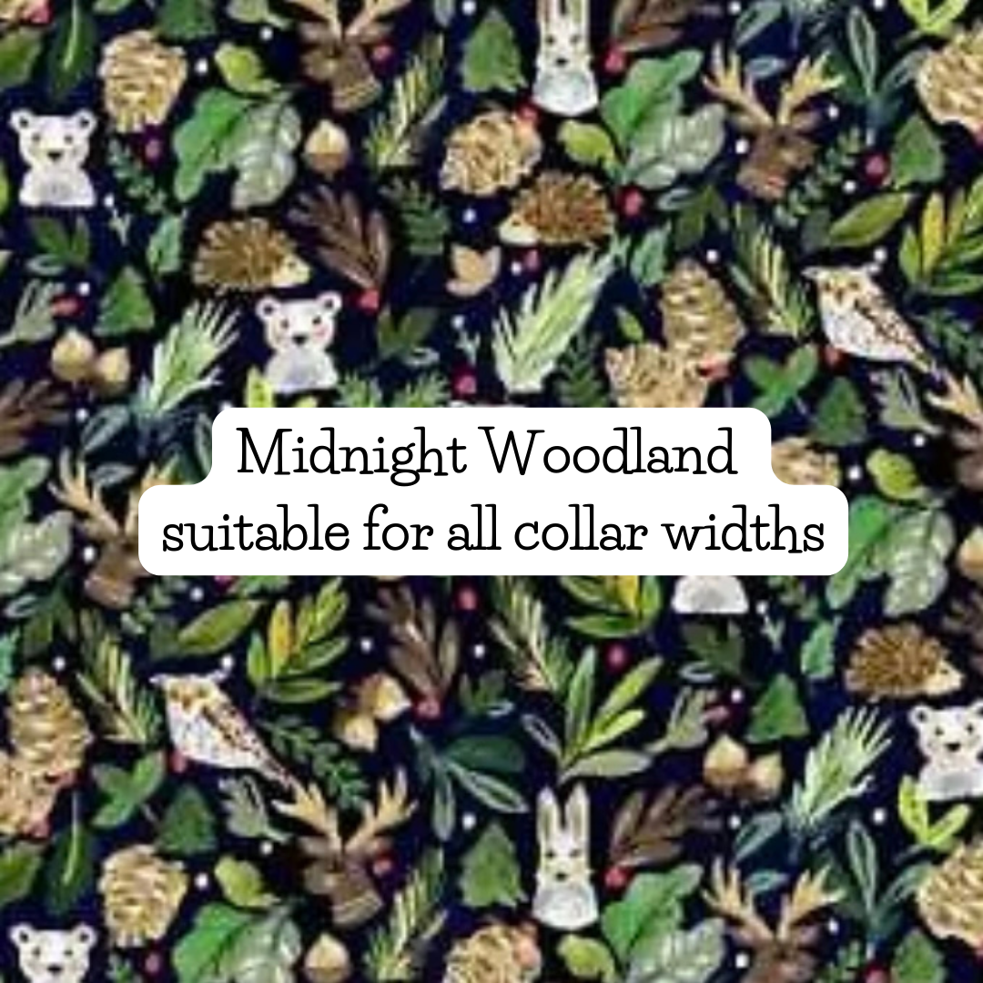 Midnight Woodland