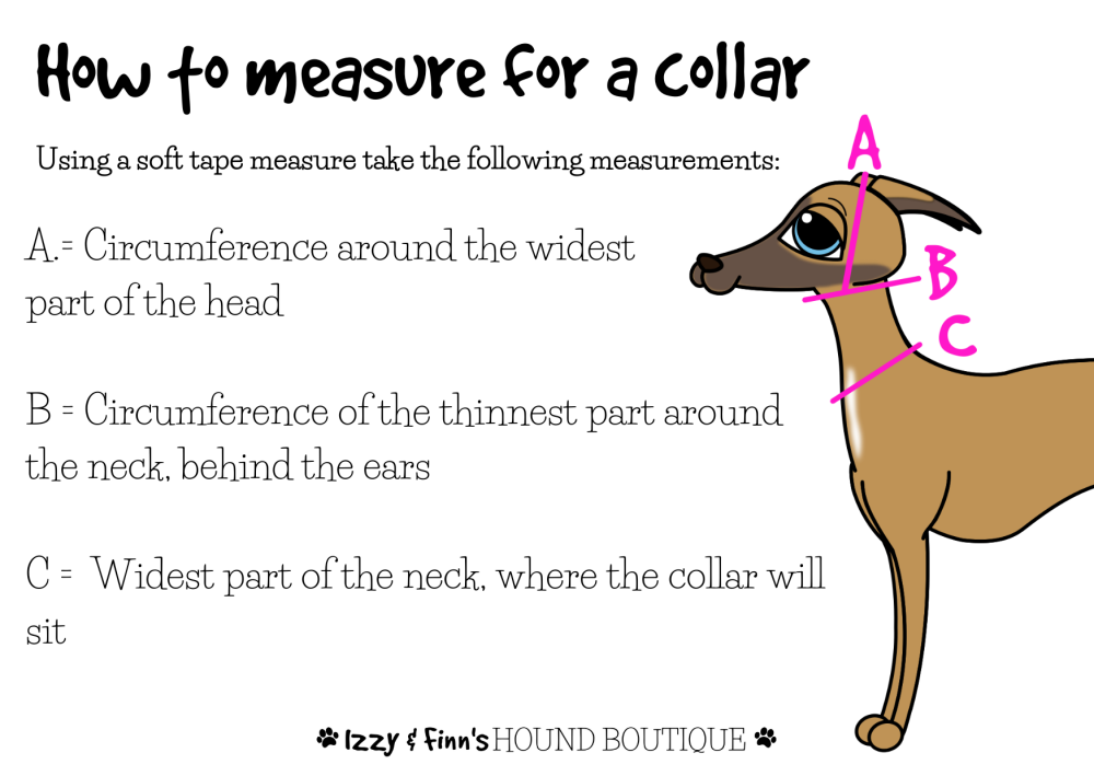 Measuring information for sighthound martingale and house collars and coats