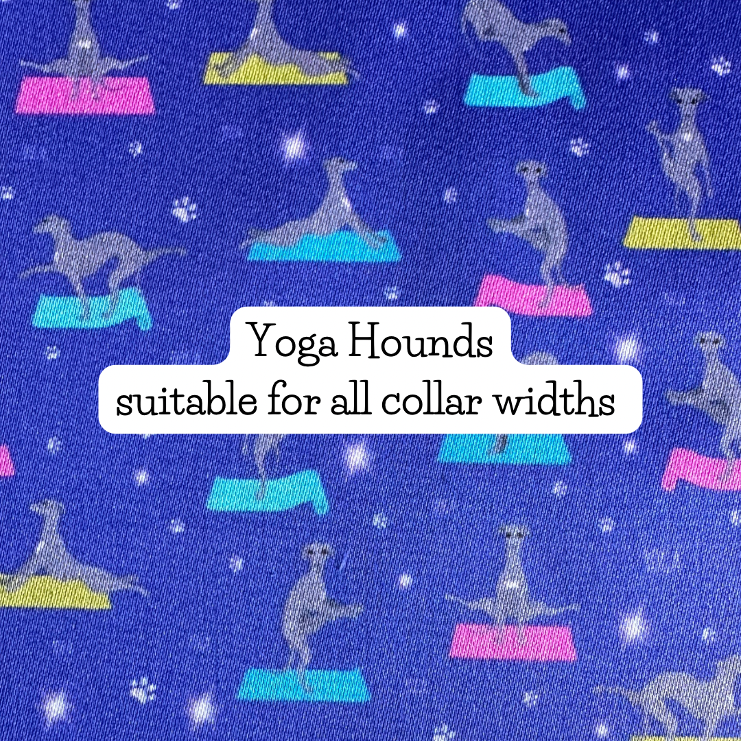 Yoga Hounds