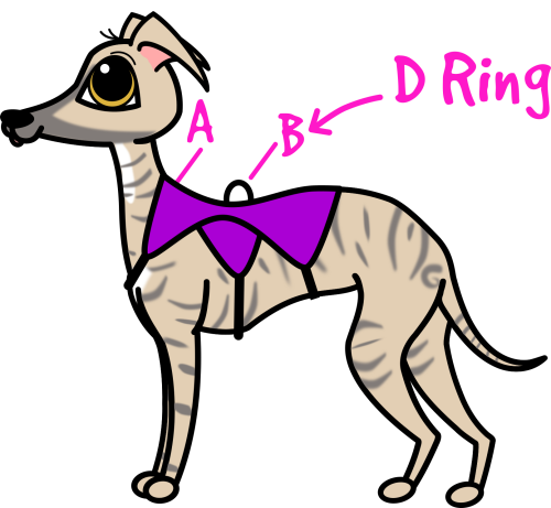 olive measuring harness 2