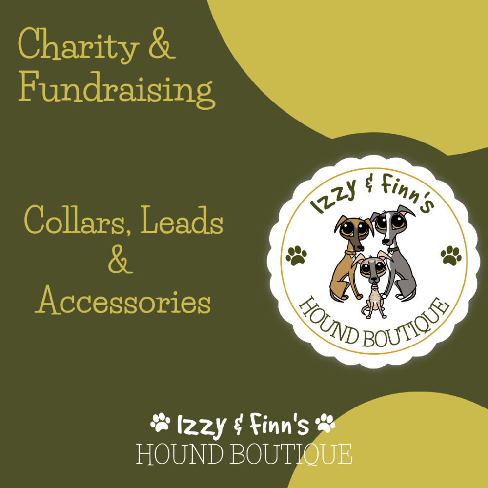 <!-- 003 -->Charity Collars, Leads and Accessories