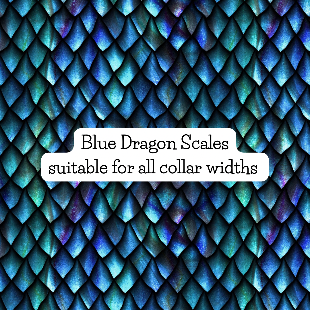 Blue Dragon Scales