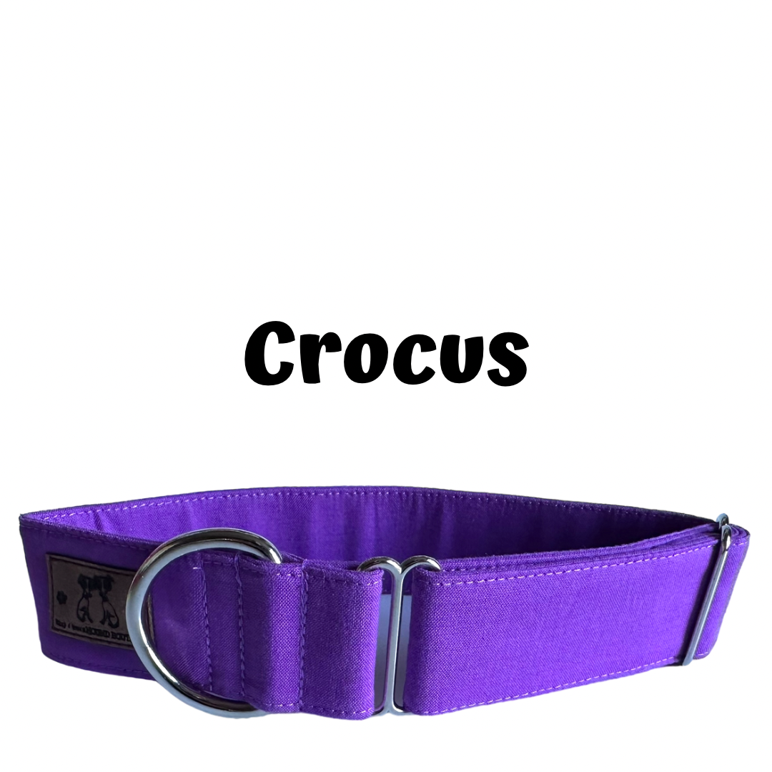 1.5" Crocus Block Colour Greyhound House Collar