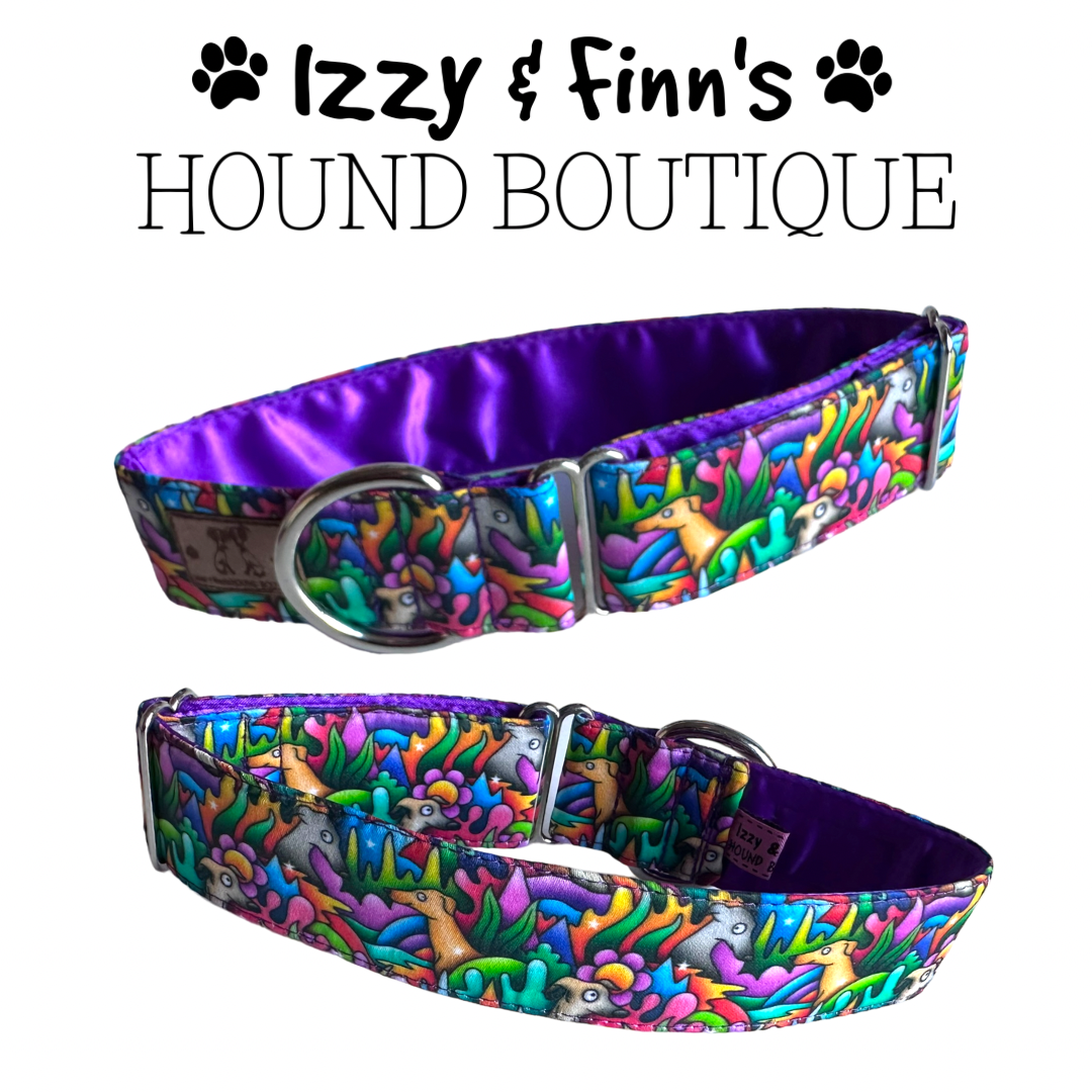 1.5" Noodle Doodle Greyhound House Collar