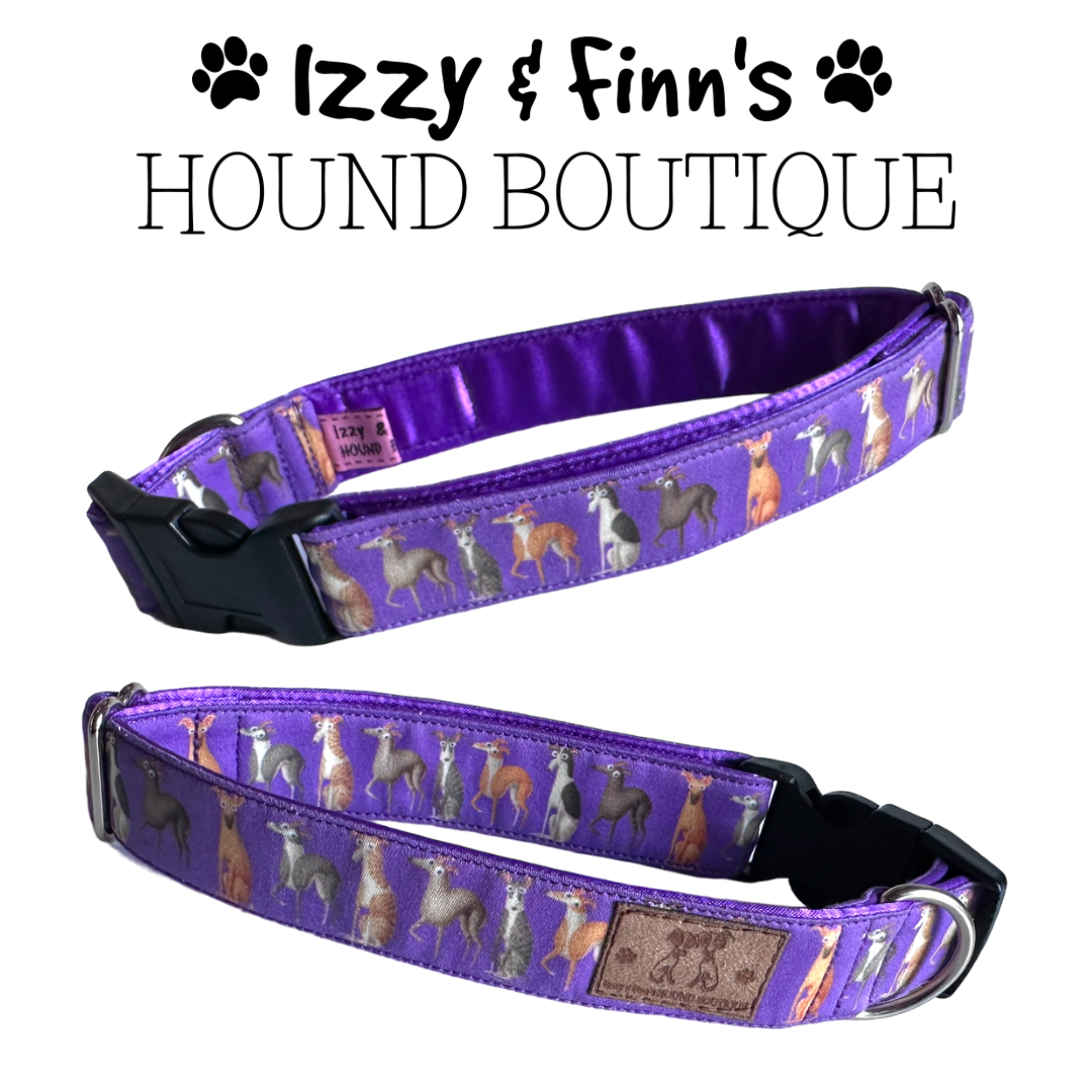 1" Purple Picasso Hounds Greyhound Clip Collar