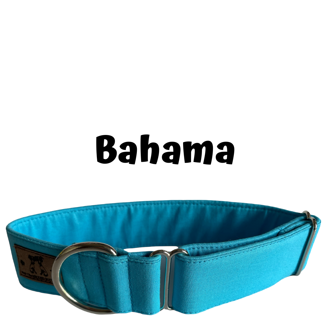 1.5" Bahama Block Colour Greyhound House Collar