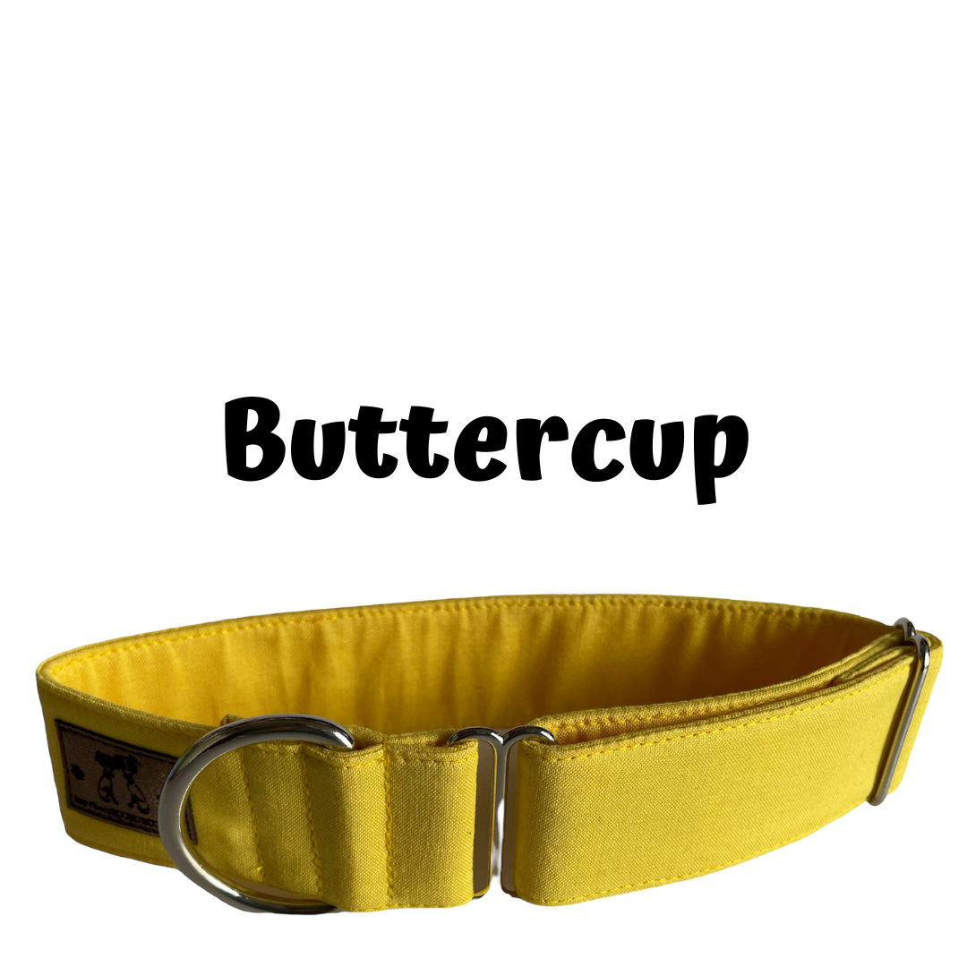 1.5" Buttercup Block Colour Greyhound House Collar