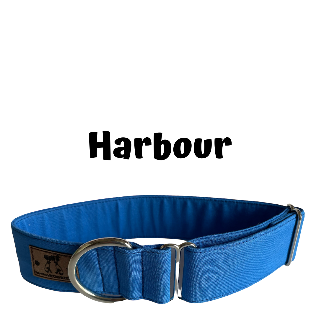 1.5" Harbour Block Colour Greyhound House Collar