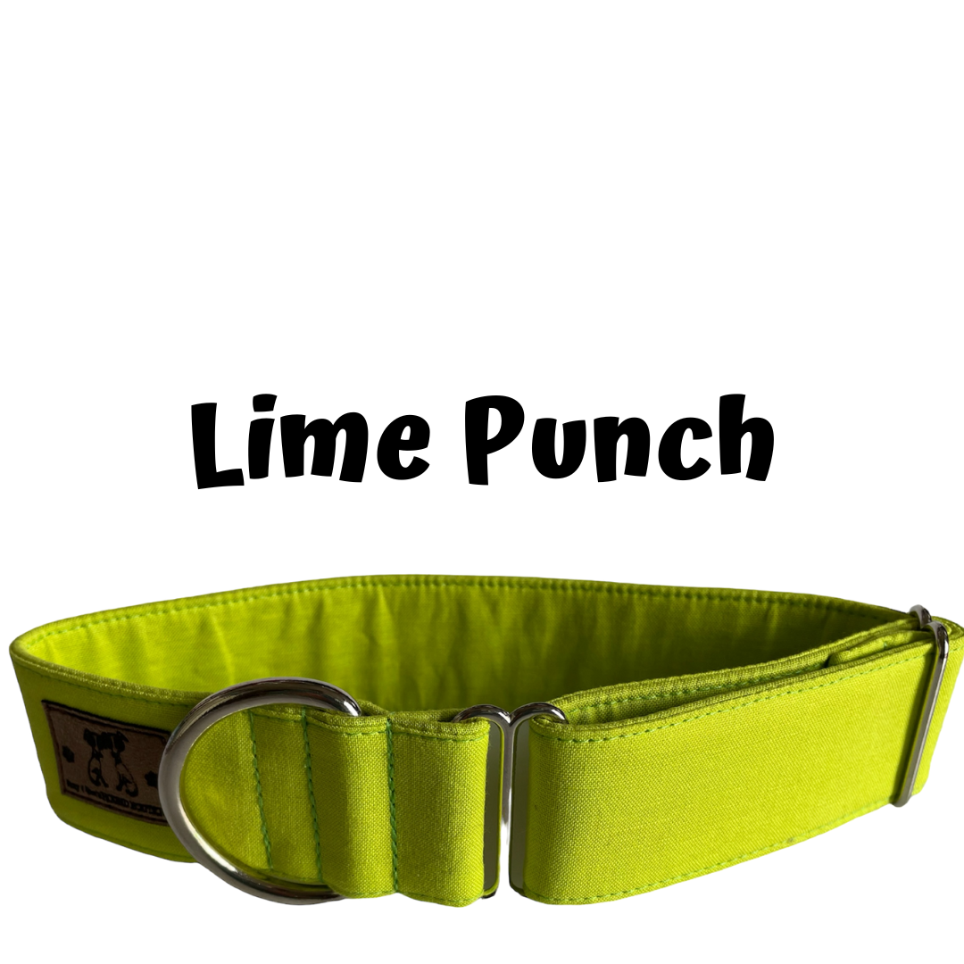 1.5" Lime Punch Block Colour Greyhound House Collar