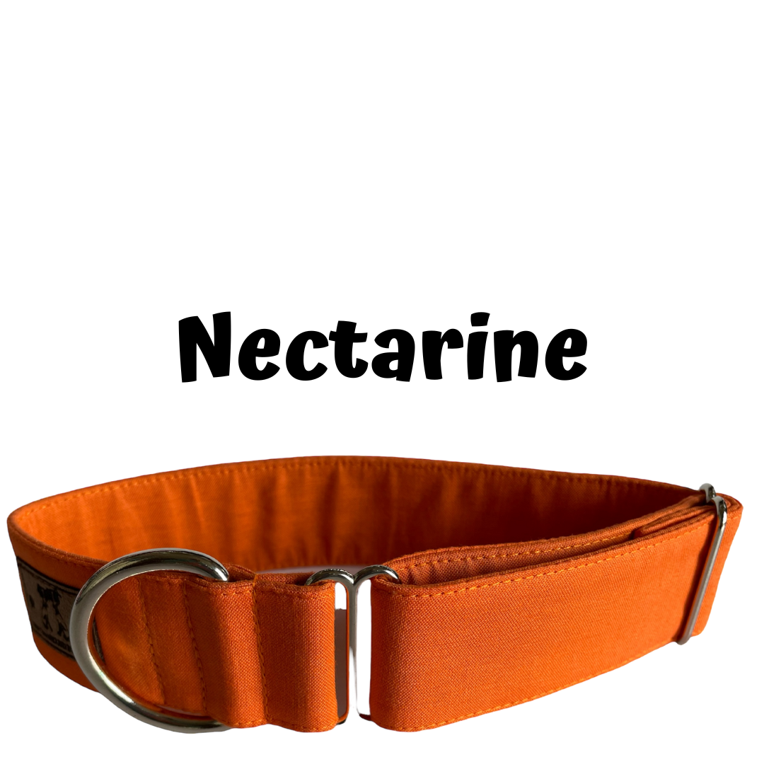 1.5" Nectarine Block Colour Greyhound House Collar