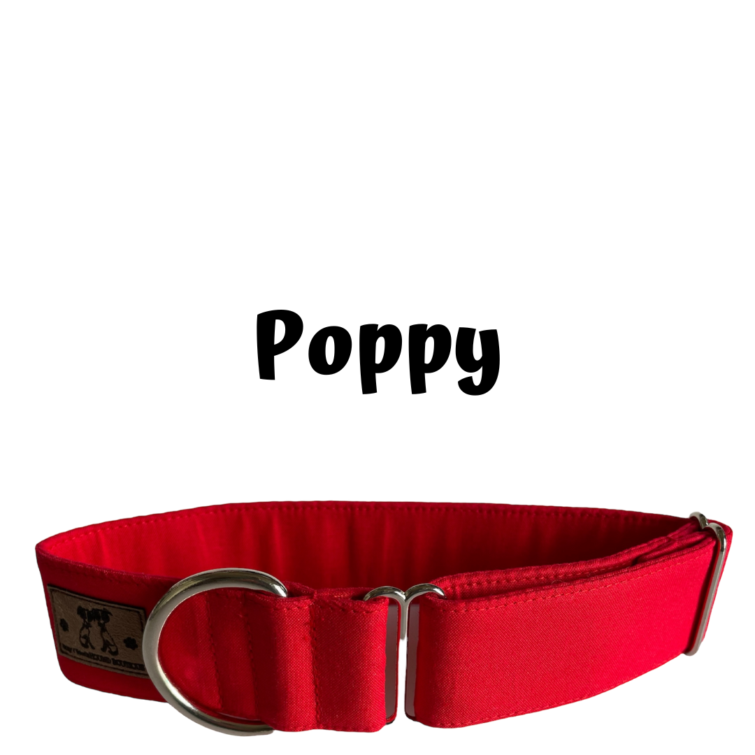 1.5" Poppy Block Colour Greyhound House Collar