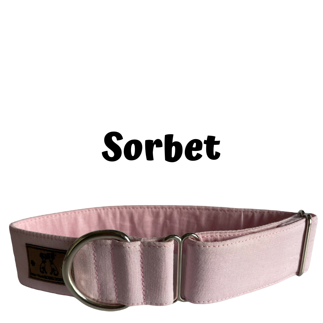 1.5" Sorbet Block Colour Greyhound House Collar