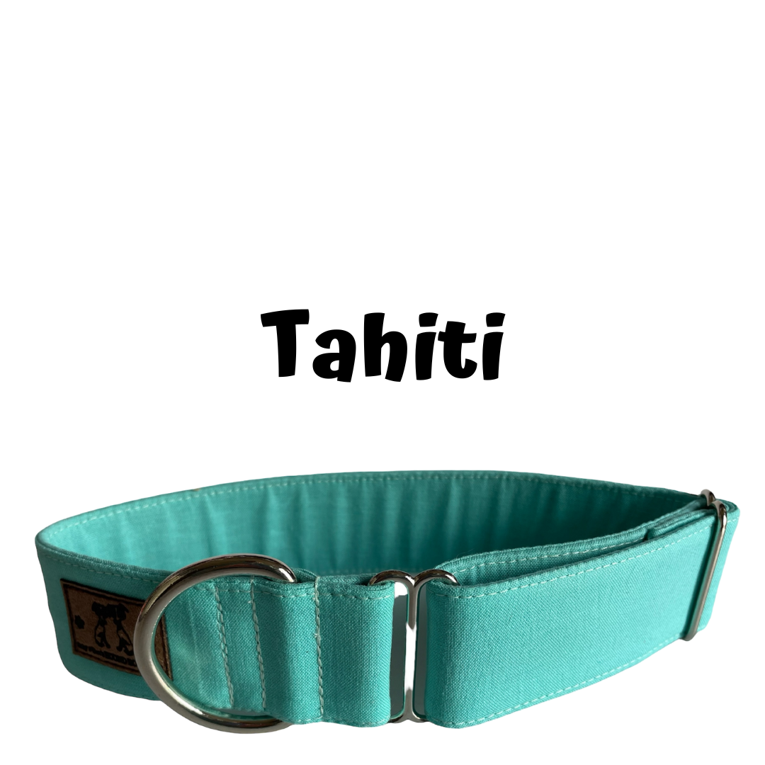 1.5" Tahiti Block Colour Greyhound House Collar