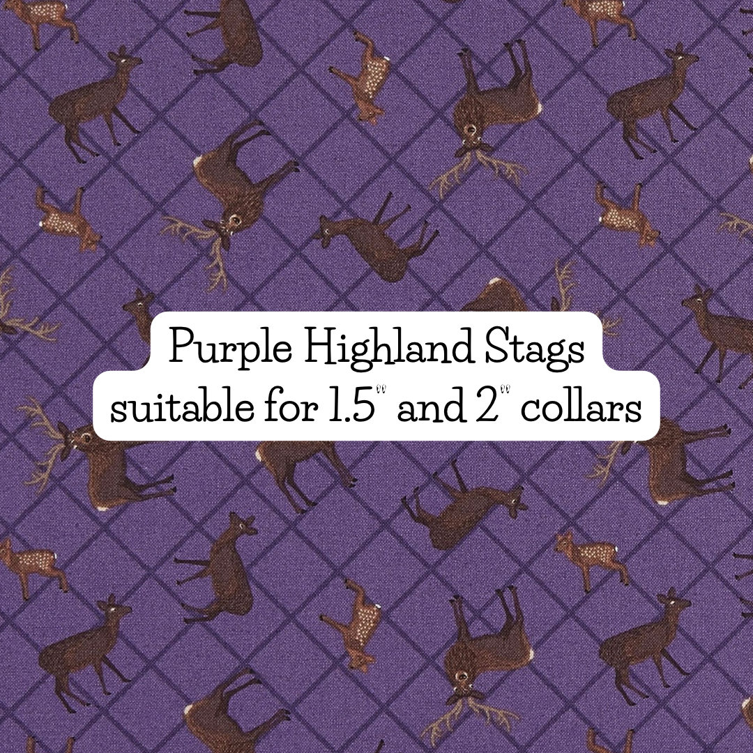 Purple Highland Stags