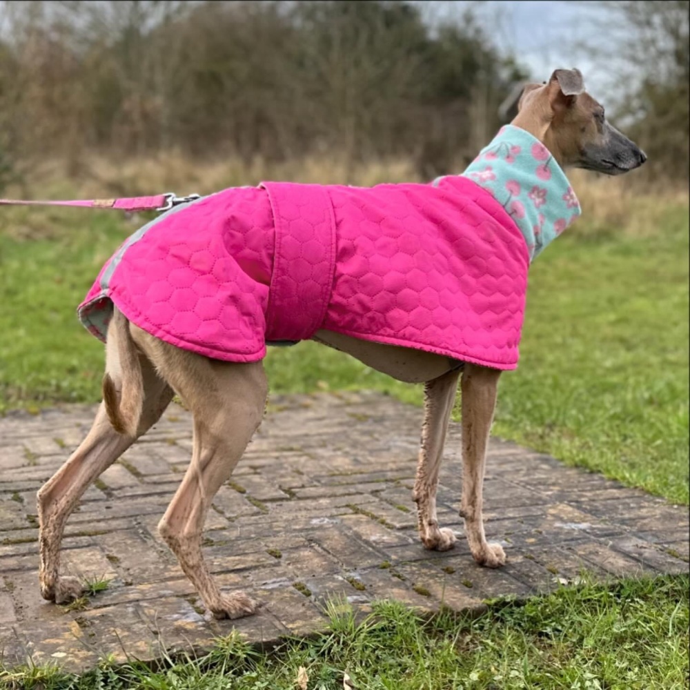 Premium Quilted Waterproof Coats