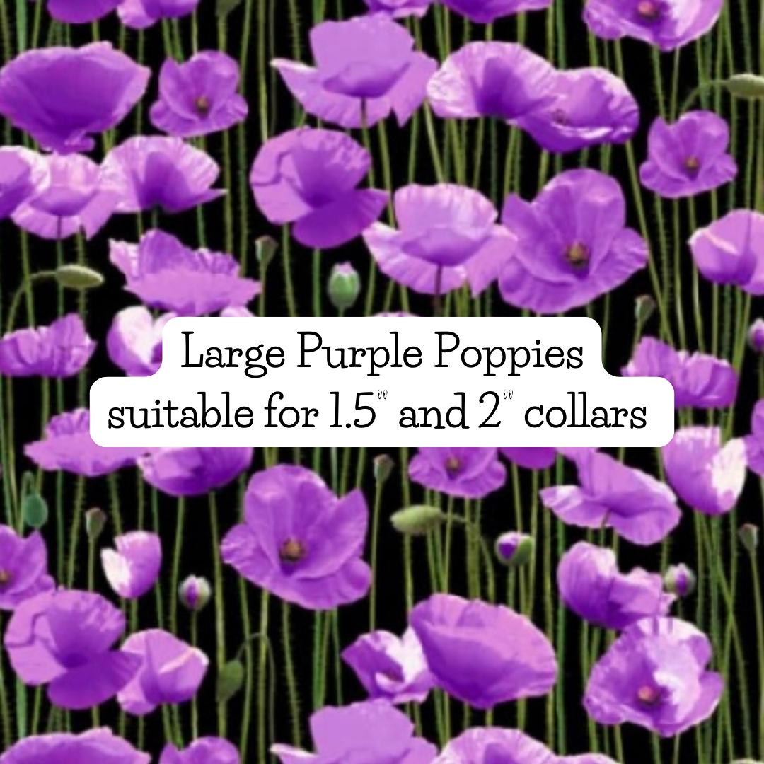 LArge Purple Poppies