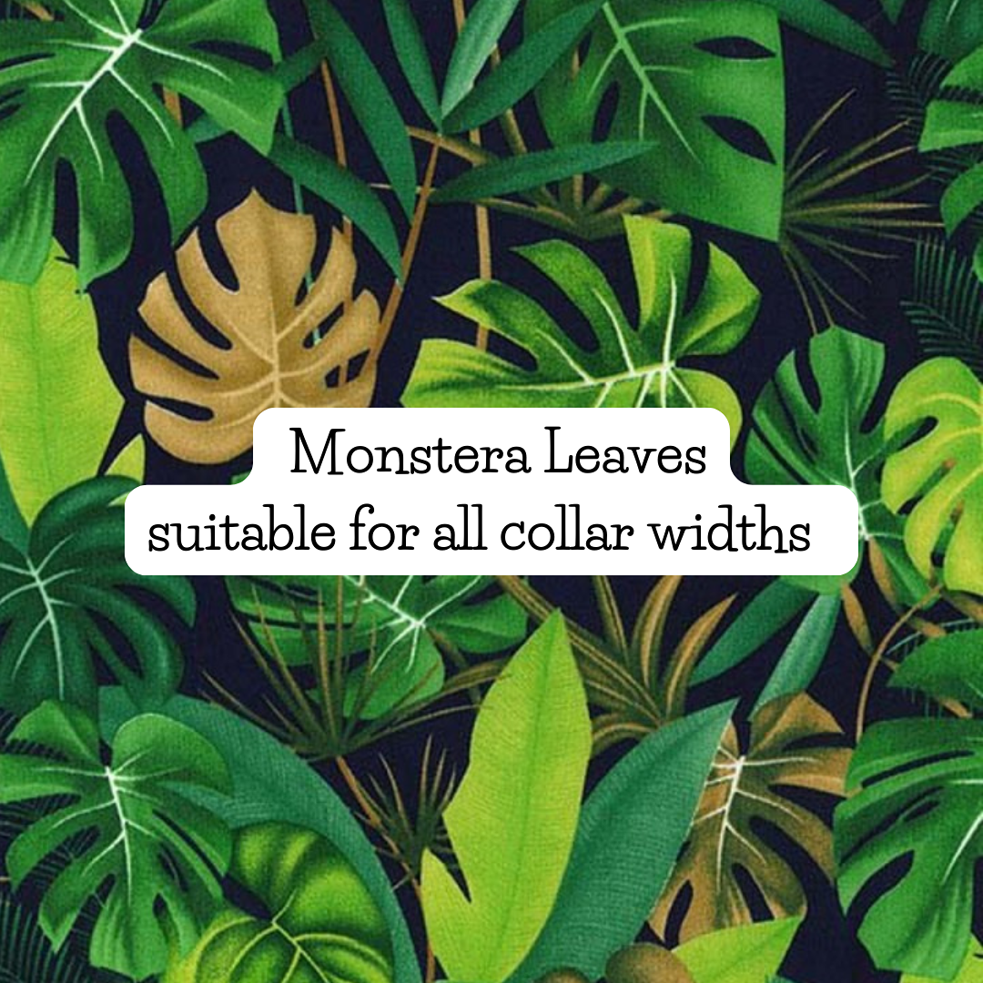 Monstera Leaves