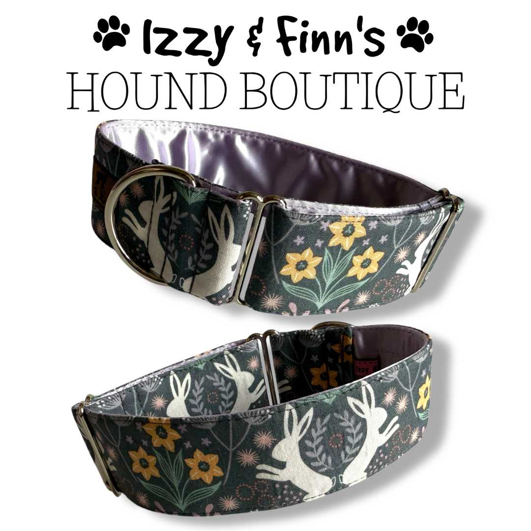 2" Spring Hares Greyhound House Collar