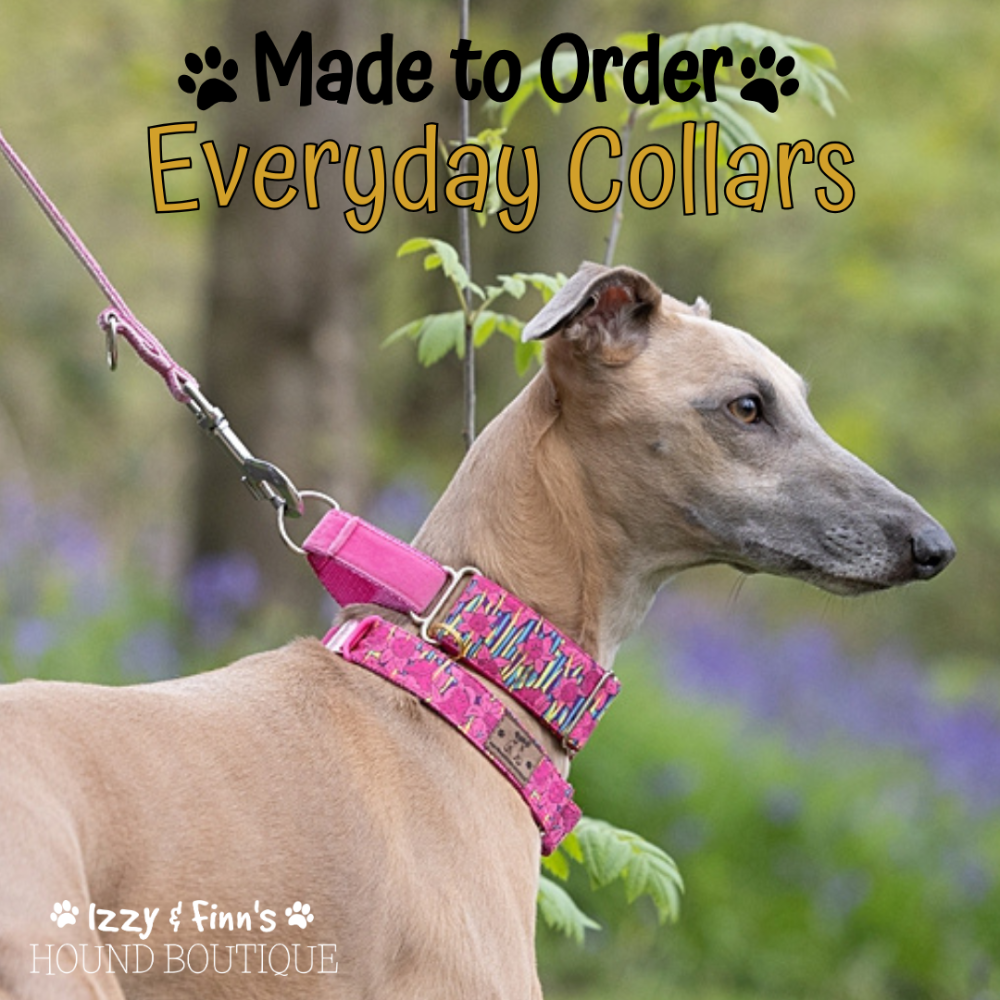 Made to Order - Everyday Collars