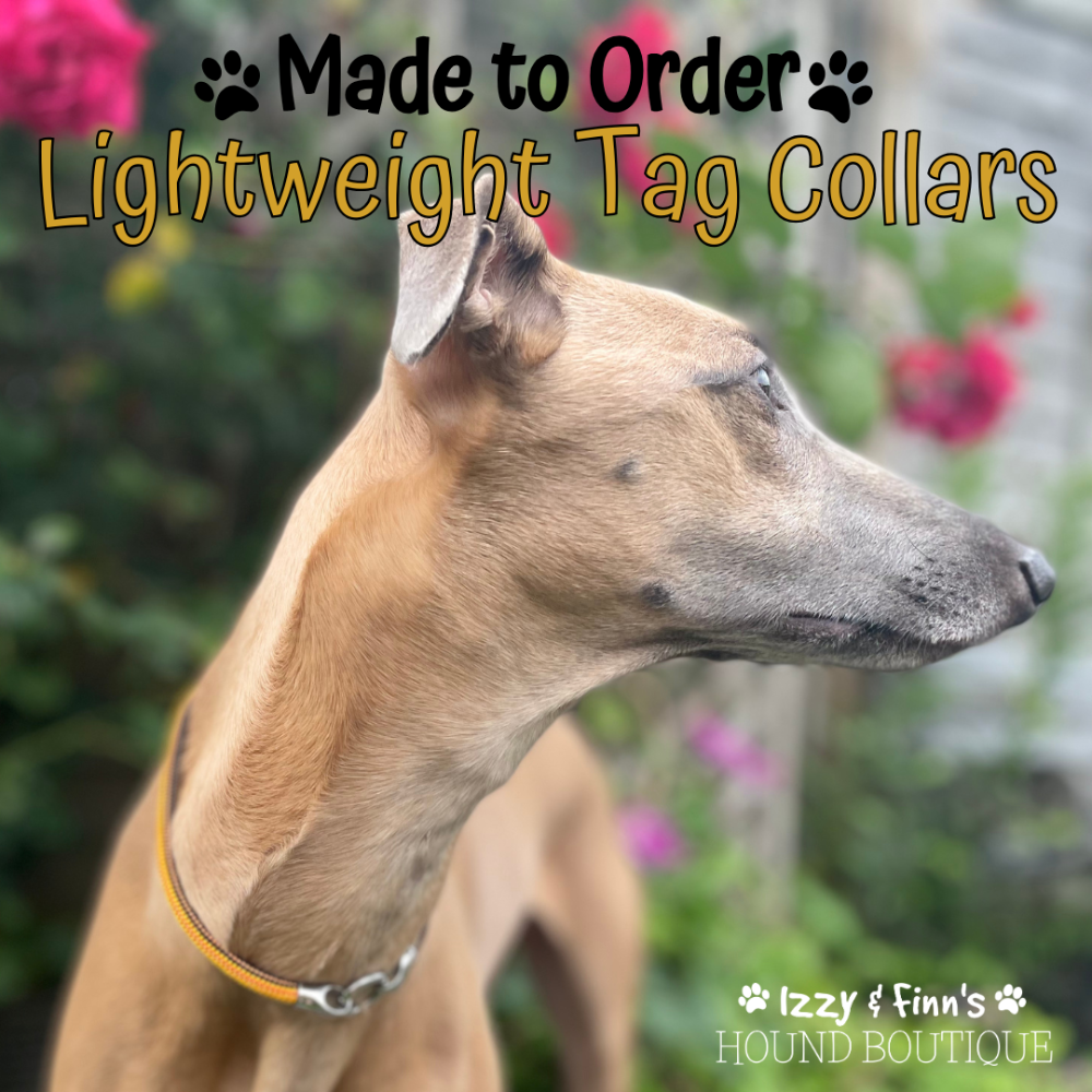 Made to Order - Lightweight Tag Collars