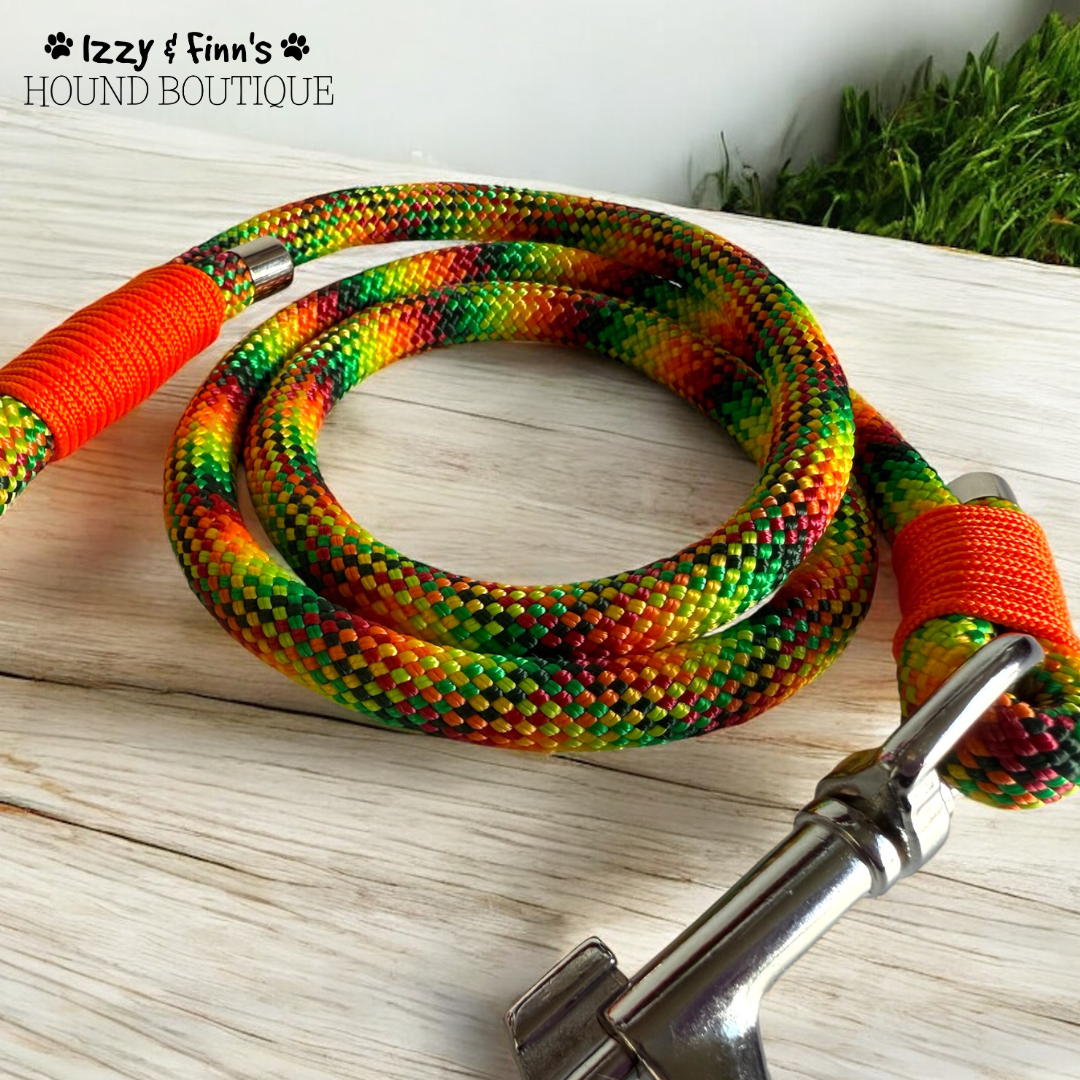 4ft 'Citrus Blast' Braided Rope Clip Lead