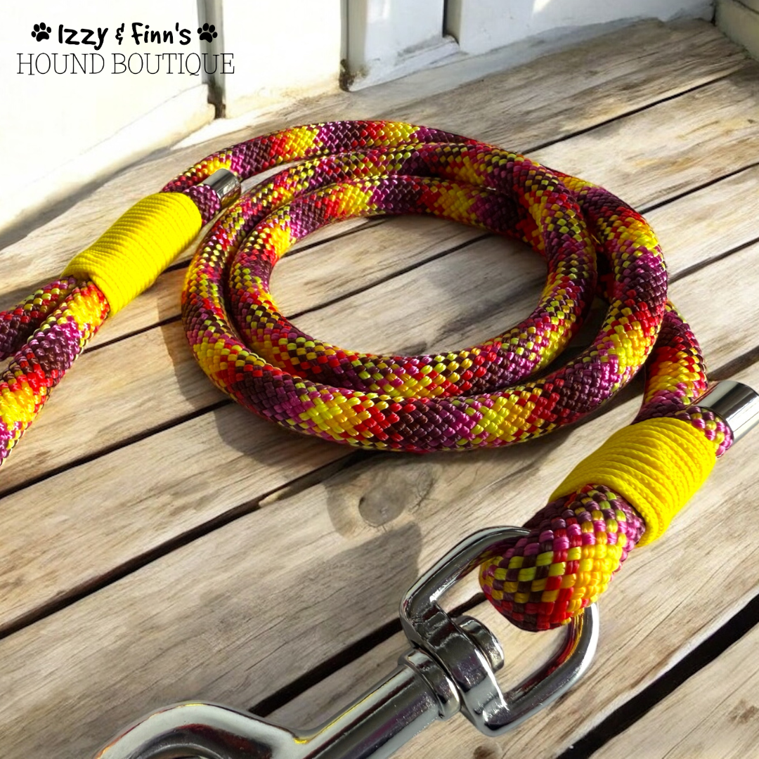 4ft 'Fruit Salad' Braided Rope Clip Lead