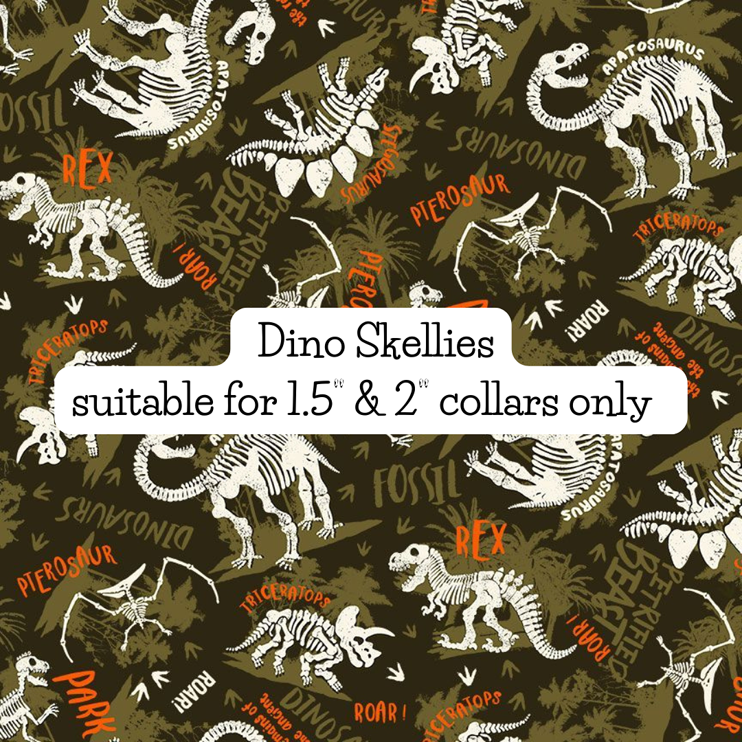 Dino Skellies