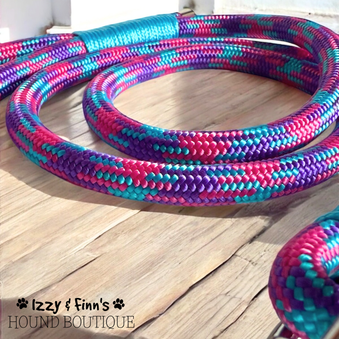 4ft 'Purple Haze' Braided Rope Clip Lead
