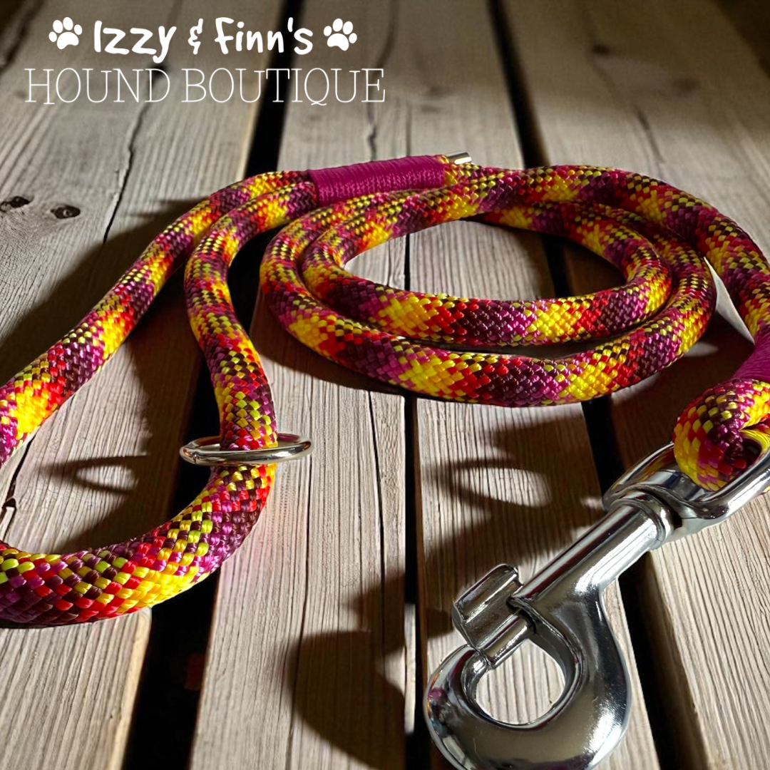 4ft 'Fruit Salad' Braided Rope Clip Lead