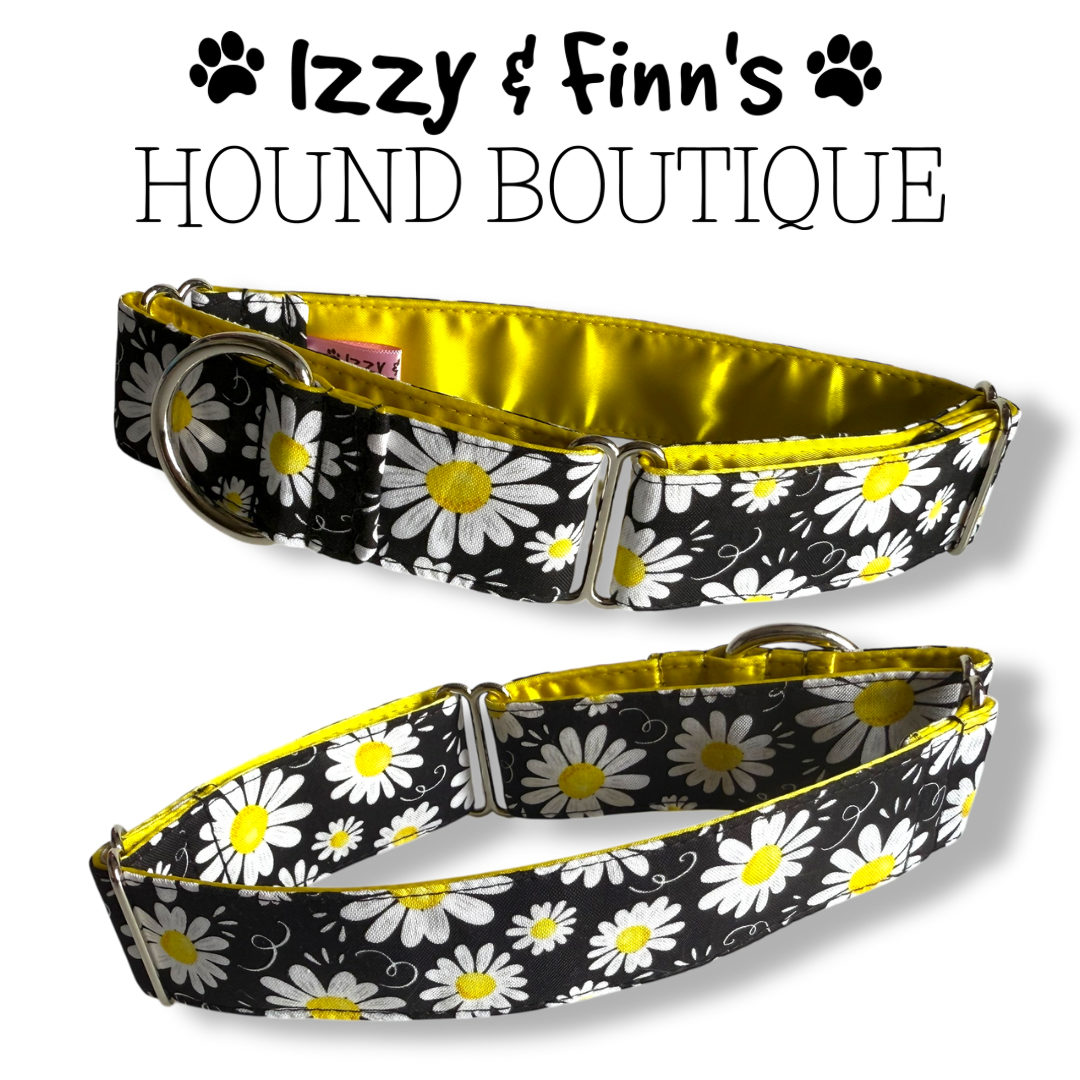 1.5" Blooming Daisies Greyhound Full Martingale Collar