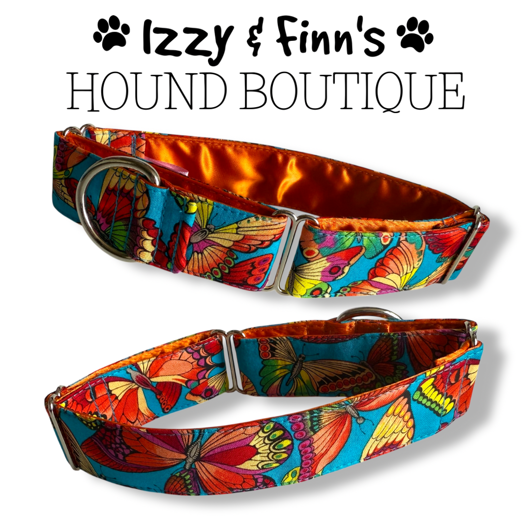 1.5" Turquoise Butterflies Greyhound Full Martingale Collar