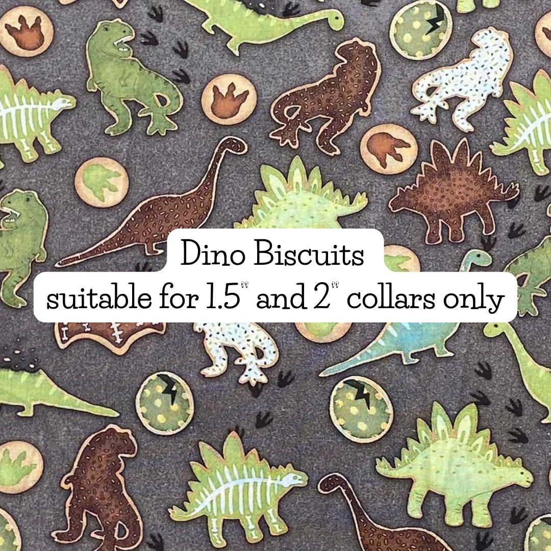 Dino Biscuits