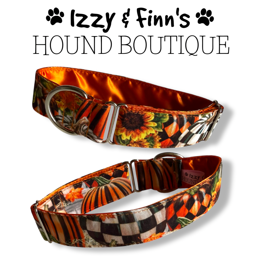 1.5" Checkerboard Pumpkins Greyhound House Collar