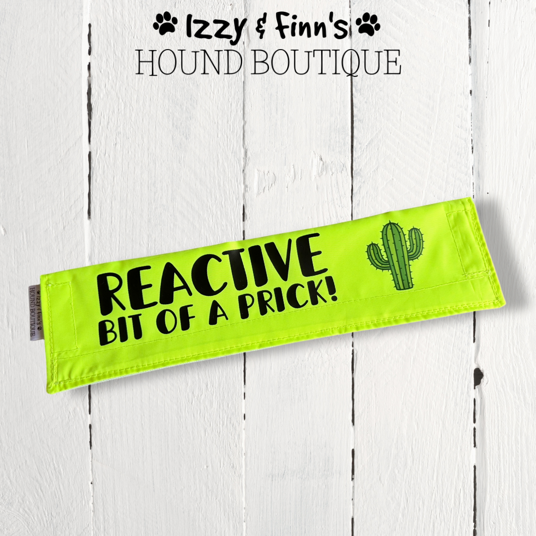 Dog Lead Sleeve Cover - REACTIVE - Bit of a Prick