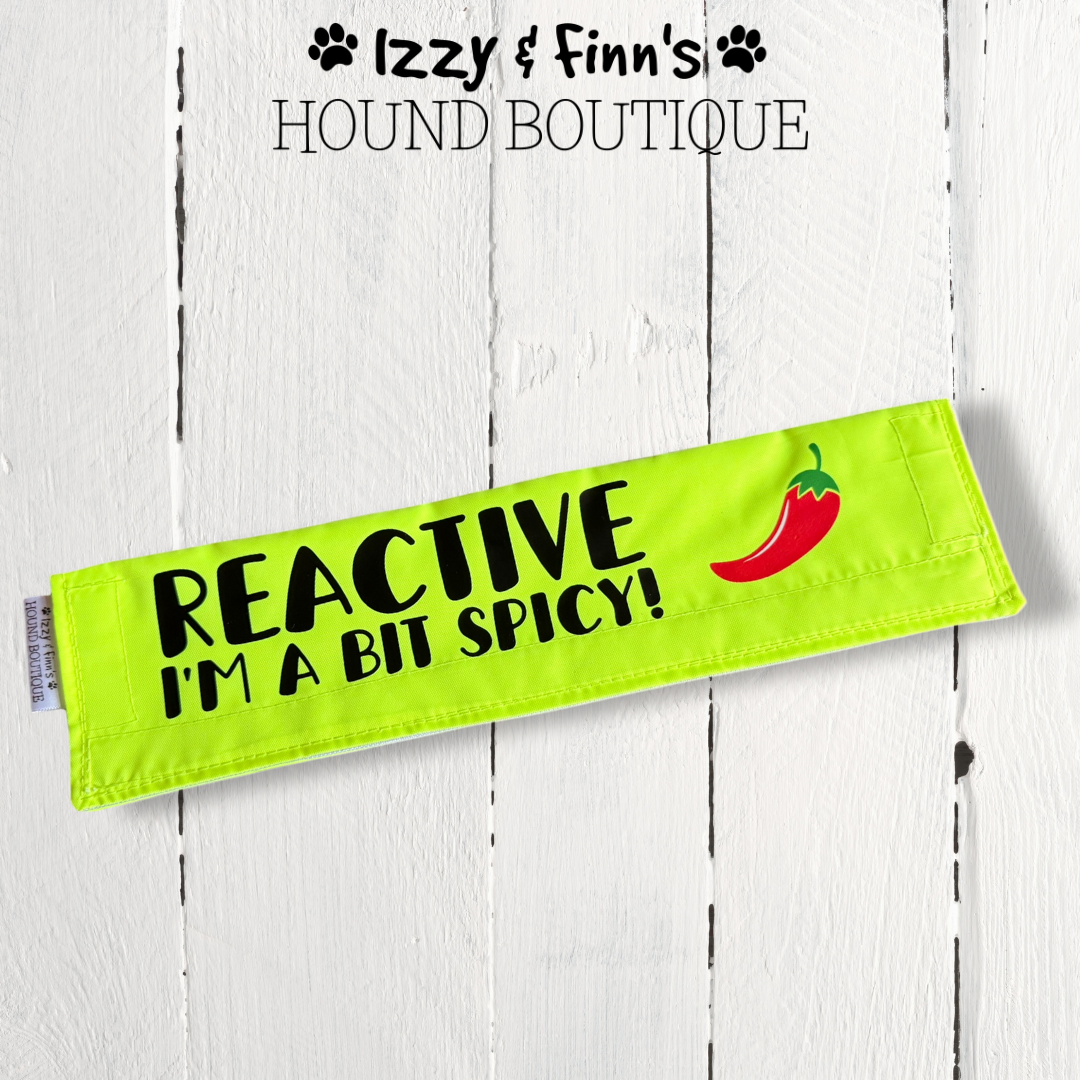 Dog Lead Sleeve Cover - REACTIVE - A bit spicy